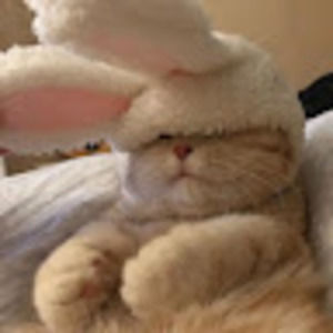 Meet your Posher, Swaggy